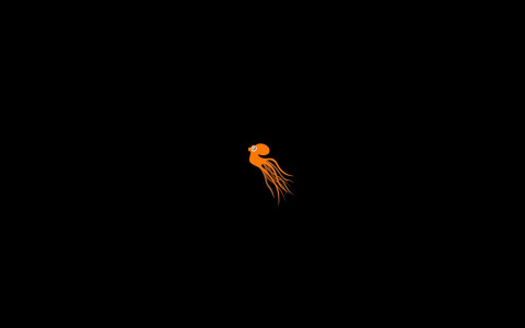 Pulpo Naranja nadando en la oscuridad