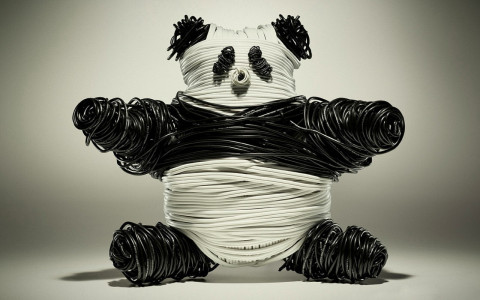 Oso Panda HD