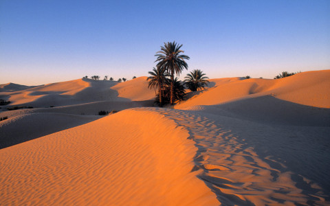 El Desierto de Sahara