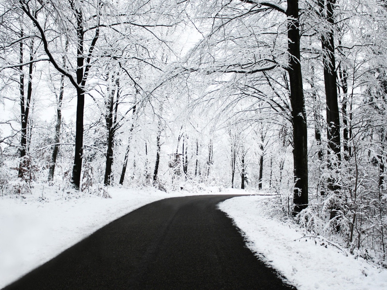 Carretera con nieve alrededor