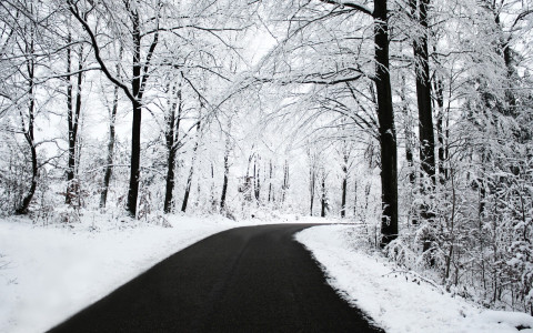 Carretera con nieve alrededor