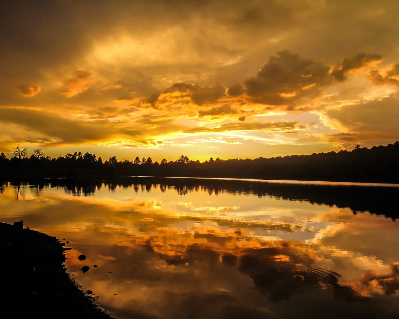 Atardecer dorado reflejandose sobre un lago