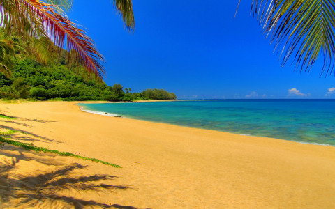 Playa Tropical