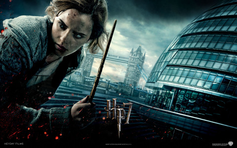 Harry Potter and The Deathly Hallows Hermione