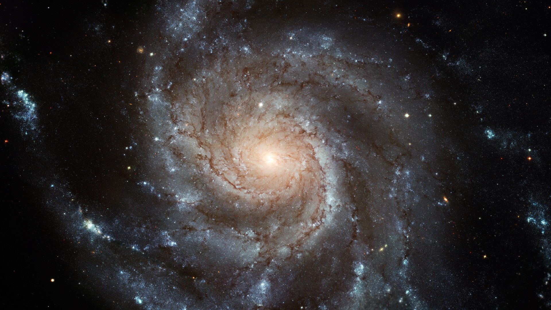 Galaxia espiral