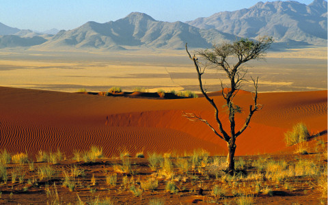 Reserva Natural Namibrand, Africa