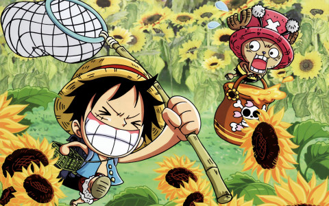 One Piece, Fondo de Pantalla y Escritorio HD Gratis