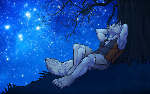 Hombre lobo romántico mirando el cielo estrellado
